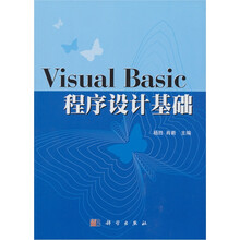 Visual Basic程序设计基础