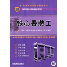 国家职业资格培训教程：铁心叠装工