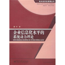 企业信息化水平的系统动力理论