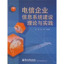 电信企业信息系统建设理论与实践