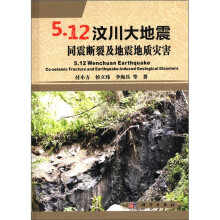 5.12汶川大地震同震断裂及地震地质灾害