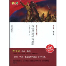 世界少年文学精选·成长文库：钢铁是怎样炼成的（美绘本·青少版）