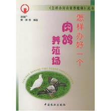 怎样办好一个肉鸽养殖场