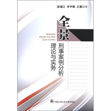 全景刑事案例分析理论与实务