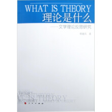 理论是什么:文学理论反思研究