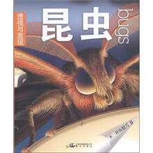 透视与发现：昆虫