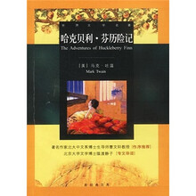 哈克贝利·芬历险记
