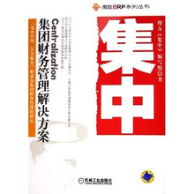 集中：集团财务管理解决方案