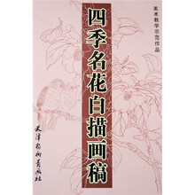 美术教学示范作品：四季名花白描画稿