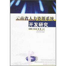 云南省人力资源系统开发研究