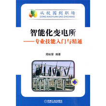 智能化变电所:专业技能入门与精通