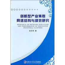 创新型产业集群网络结构与绩效研究
