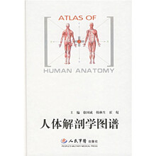 人体解剖学图谱