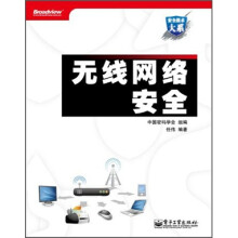 安全技术大系:无线网络安全
