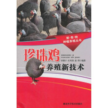 珍珠鸡养殖新技术