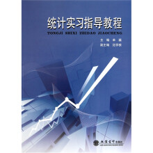 统计实习指导教程