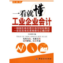 一看就懂工业企业会计（图解版）