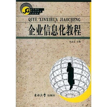 企业信息化教程