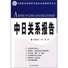 中日关系报告
