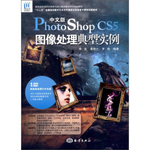 中文版Photoshop CS5图像处理典型实例(附DVD-ROM光盘1张)
