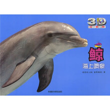 鲸:海上喷泉