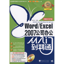 Word/Excel 2007公司办公从入门到精通(多媒体双色版)