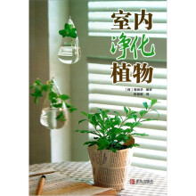 室内净化植物