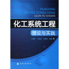 化工系统工程理论与实践