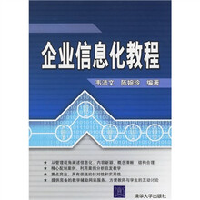 企业信息化教程
