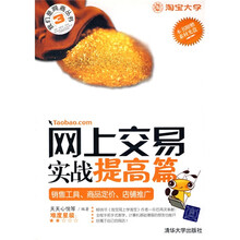 网上交易实战提高篇：销售工具、商品定价、店铺推广（附光盘1张）