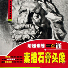 美术基础实用教材·阶梯训练一点通：素描石膏头像
