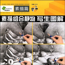 素描组合静物写生图解：素描篇（附赠VCD光盘1张）