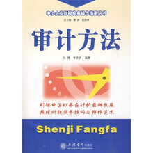 中小企业财税实务操作指南丛书：审计方法