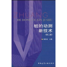 桩的动测新技术