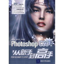 Photoshop CS3中文版从新手到高手（配DVD光盘1张）