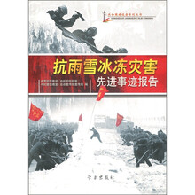 抗雨雪冰冻灾害先进事迹报告