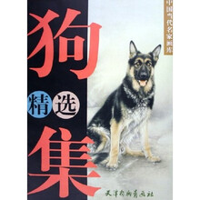 狗精选集