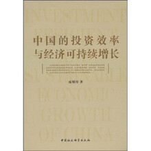 中国的投资效率与经济可持续增长