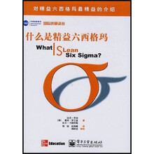 什么是精益六西格玛