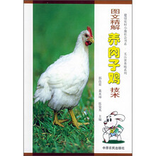 图文精解养肉子鸡技术