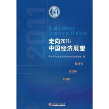 走向2011：中国经济展望