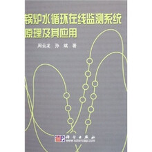 锅炉水循环在线监测系统原理及其应用