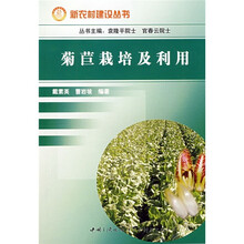 菊苣栽培及利用