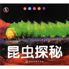 昆虫探秘
