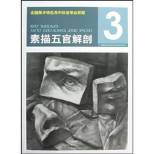 全国美术特色高中标准专业教程:素描五官解剖