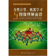智能科学与技术丛书：自然计算、机器学习与图像理解前沿