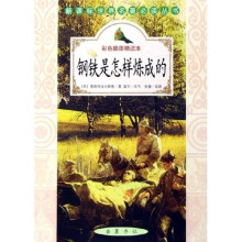 新课标世界名著必读丛书:钢铁是怎样炼成的(彩色插图)(精读本)