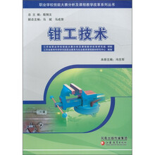 职业学校技能大赛分析及课程教学改革系列丛书：钳工技术