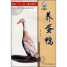 养蛋鸭