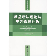 反垄断法理论与中外案例评析